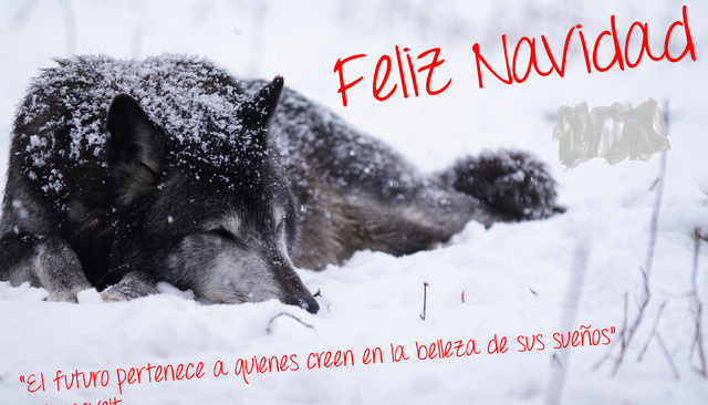 Archivo:Feliz navidad.png