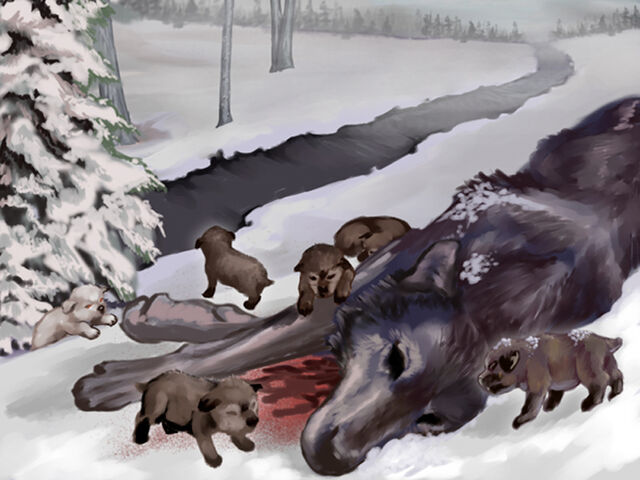 Archivo:Lobos Huargos by Veronica Jones, Fantasy Flight Games©.jpg