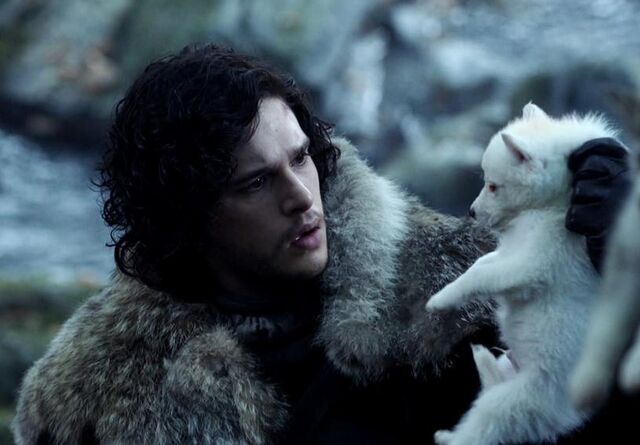 Archivo:Jon y Fantasma HBO.jpg