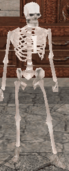 Weakskeletons