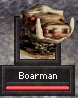 Boarface