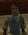 MeldanenApprentice