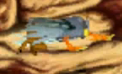 Griffin2GloryVGA