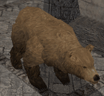 Brownbearzoo
