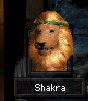 Shakraface