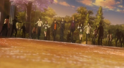 Moresurvivors