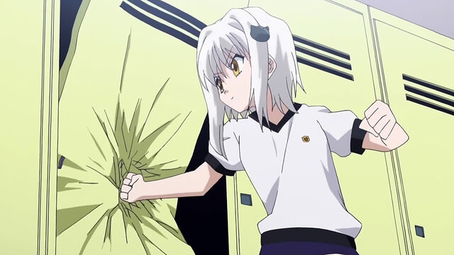 Archivo:Koneko fuerza.jpg