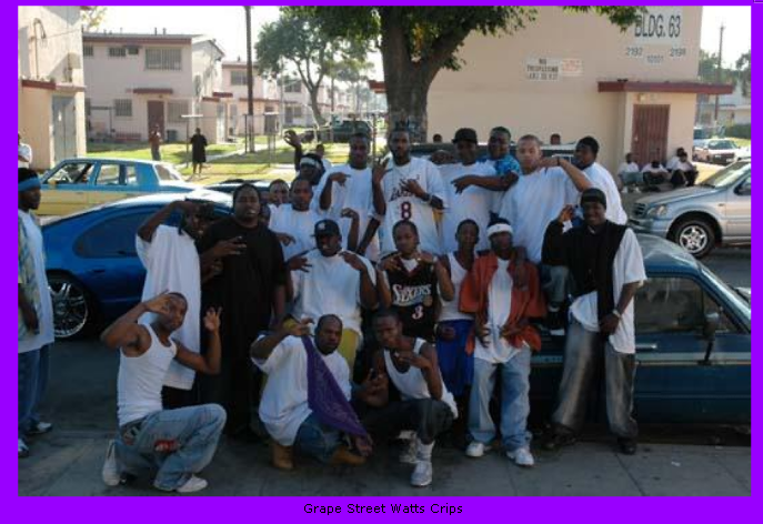 grape street crips grape street crips