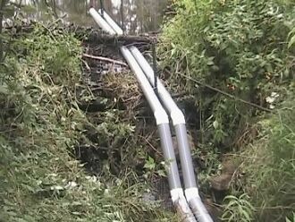 Beaver pipes