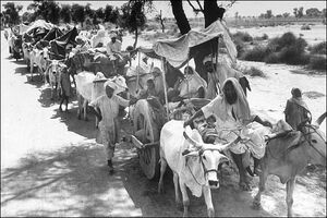 Oxcart-train1947partition