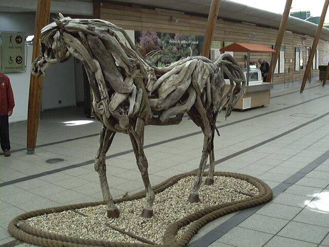 File:Driftwood Equus eden.jpg