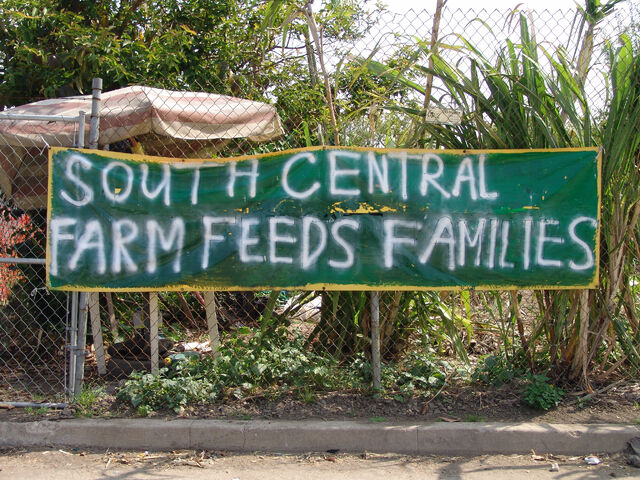 File:South Central Farm 2.jpg