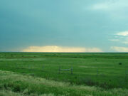 Kansas prairie