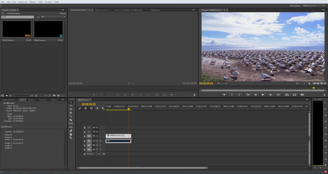 File:Premiere Pro CC.png