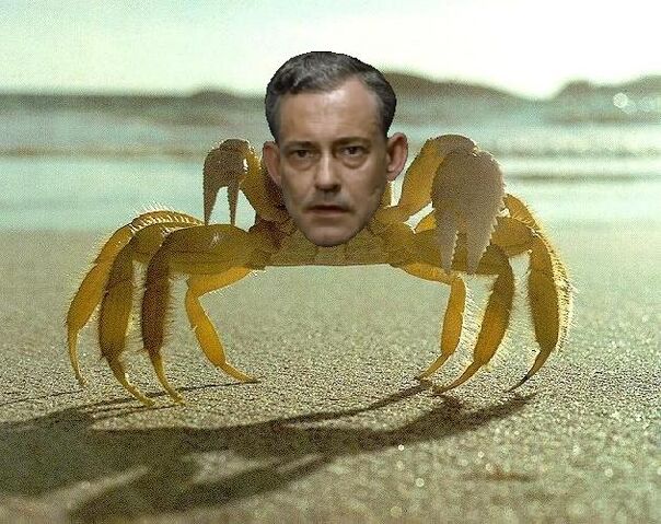 File:Krabs.jpg