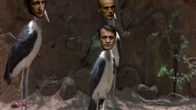 File:Chuikov and his birds.jpg