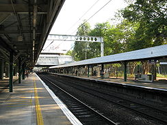 Fanling Station Platform.jpg