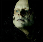 LOTR Grma