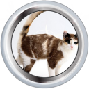 File:Badge-108-4.png