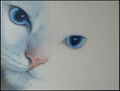 Thumbnail for version as of 23:19, August 29, 2010