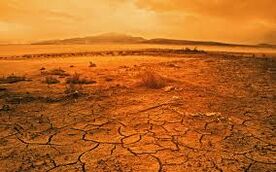 Omnibaan Wasteland