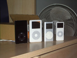 The family