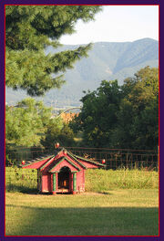 4716 The View from Villa Pines Dog House