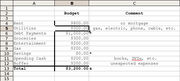 Budget1