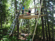 Tree house - 2009-06-28 2-40-11 PM 0089