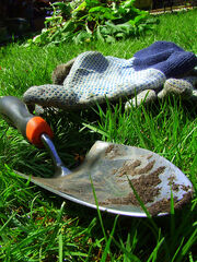 Gardening