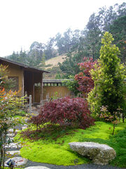 Zen Tea Garden