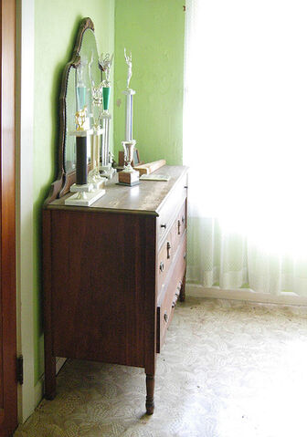 File:Trophies.jpg