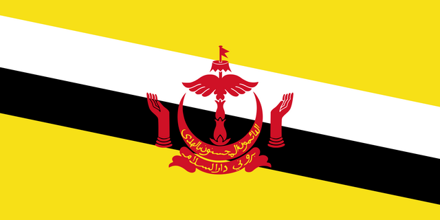File:Flag of Brunei svg.png
