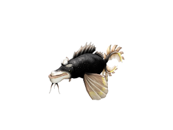 CRE Voidfish-102a01a9 ful