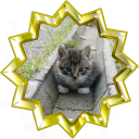File:Badge-love-5.png