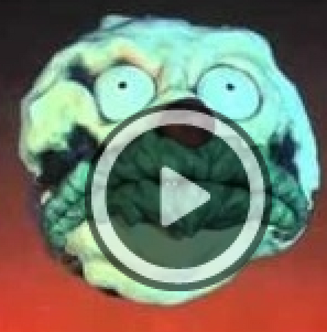 File:Cupcake Monasteriense.png