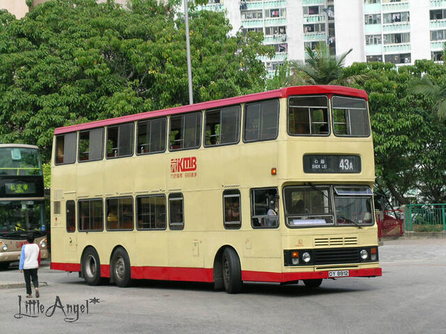 檔案:DY8912 43A.jpg