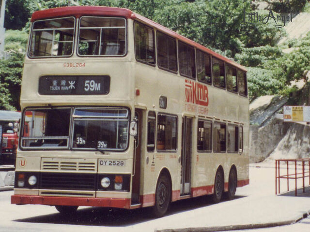 檔案:DY2528 39M.jpg