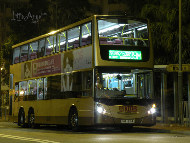檔案:NG1954 39M.jpg