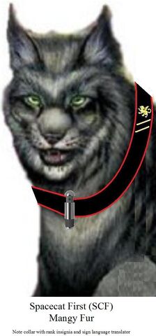 File:Spacecat First Mangy Fur.jpg