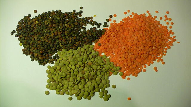 File:Lentil.jpg