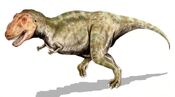 Tyrannosaurus BW