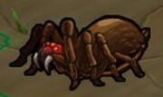 Deathjump Spider