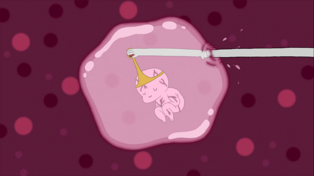 Archivo:AT-LICH.44.png