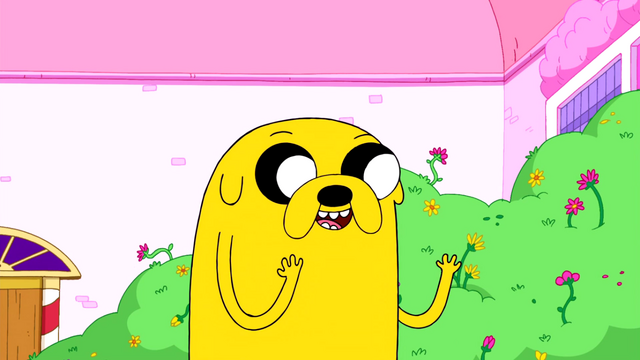 Archivo:AMPE55.png