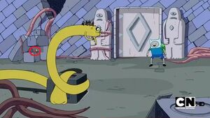 Caracol limit-1-