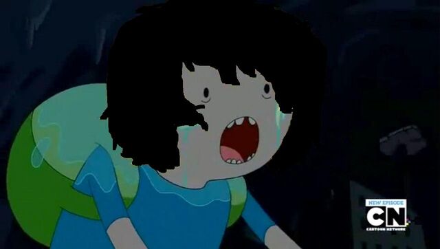 Archivo:Finn pelo negro.jpg