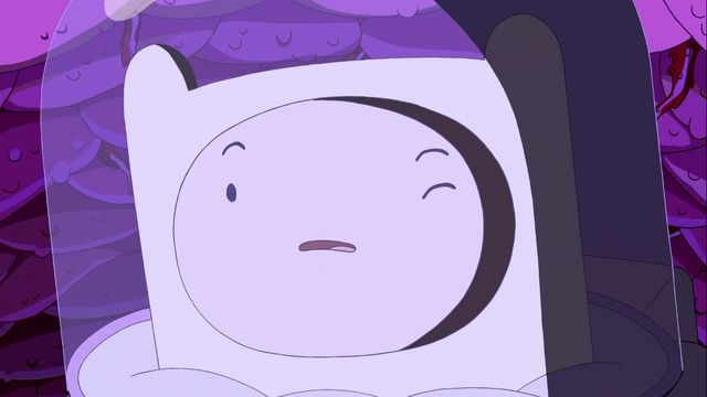 Archivo:TCT96.png