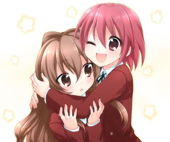 Archivo:Toradora!.full.633603.jpg