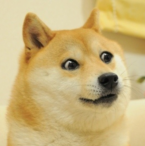 Archivo:Perro.png